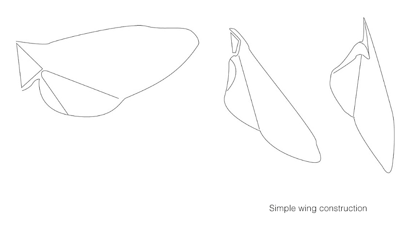 wing